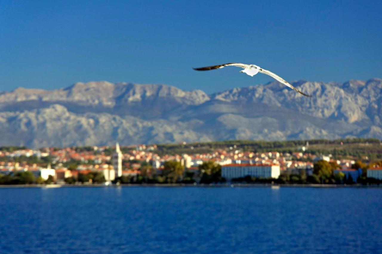 Kuki Apartment With Balcony Zadar Buitenkant foto